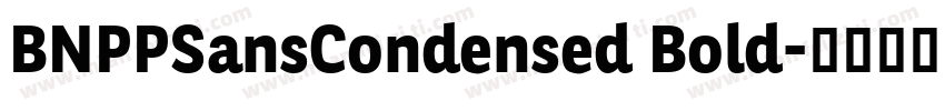BNPPSansCondensed Bold字体转换